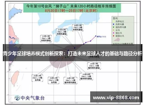 青少年足球培养模式创新探索：打造未来足球人才的基础与路径分析