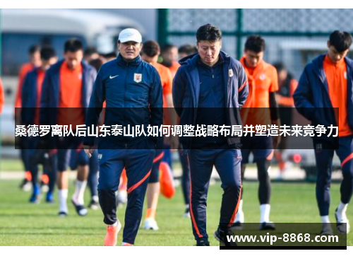 桑德罗离队后山东泰山队如何调整战略布局并塑造未来竞争力 桑德罗离队后山东泰山队如何调整战略布局并塑造未来竞争力
