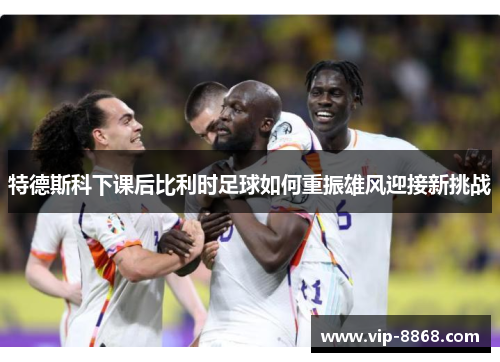 特德斯科下课后比利时足球如何重振雄风迎接新挑战 特德斯科下课后比利时足球如何重振雄风迎接新挑战