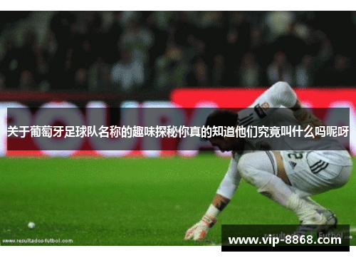 关于葡萄牙足球队名称的趣味探秘你真的知道他们究竟叫什么吗呢呀